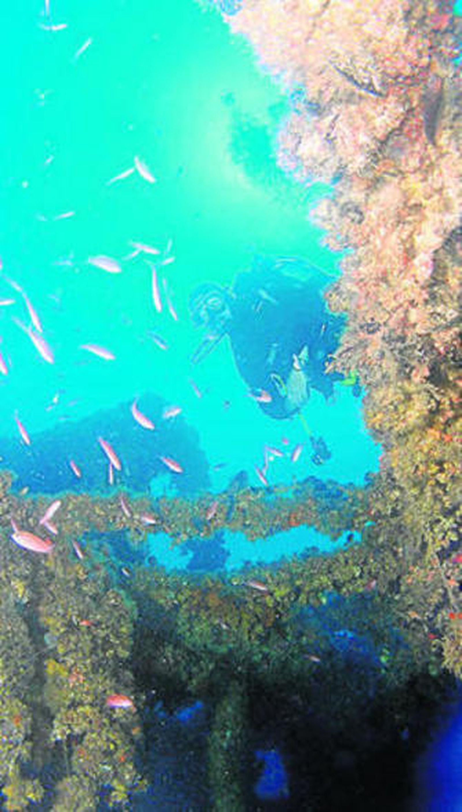 Del Centro Isub San José.