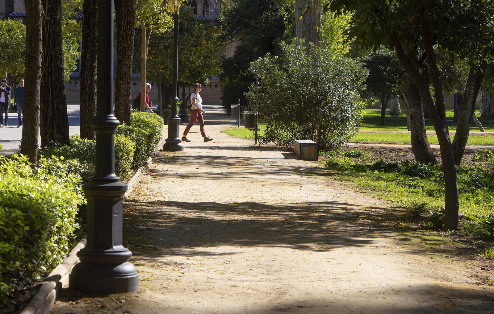 Uno de los muchos paseos de albero que recorren el Parque de María Luisa.