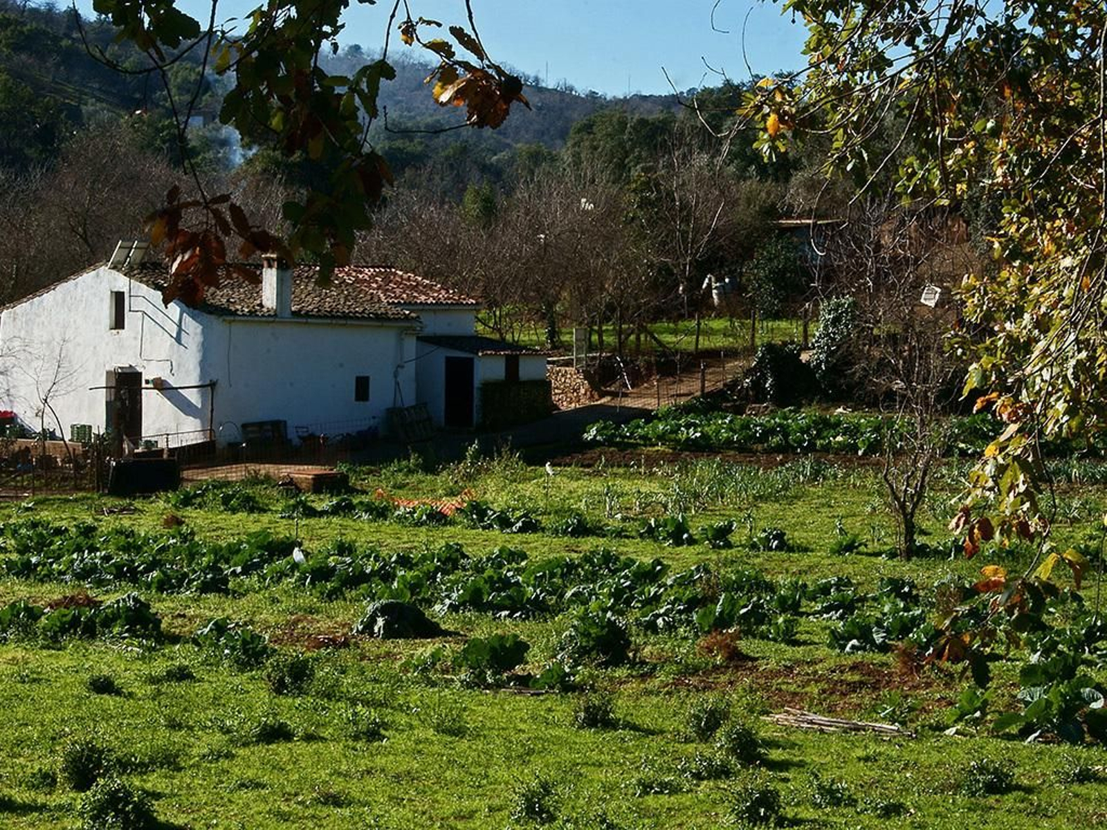 Huertas y casa de labranza