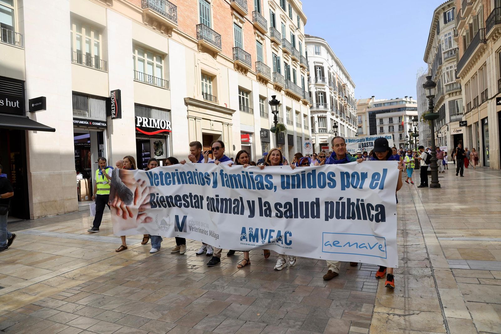 Veterinarios y dueños de mascotas toman calle Larios contra la restricción del uso de medicamentos, en imágenes