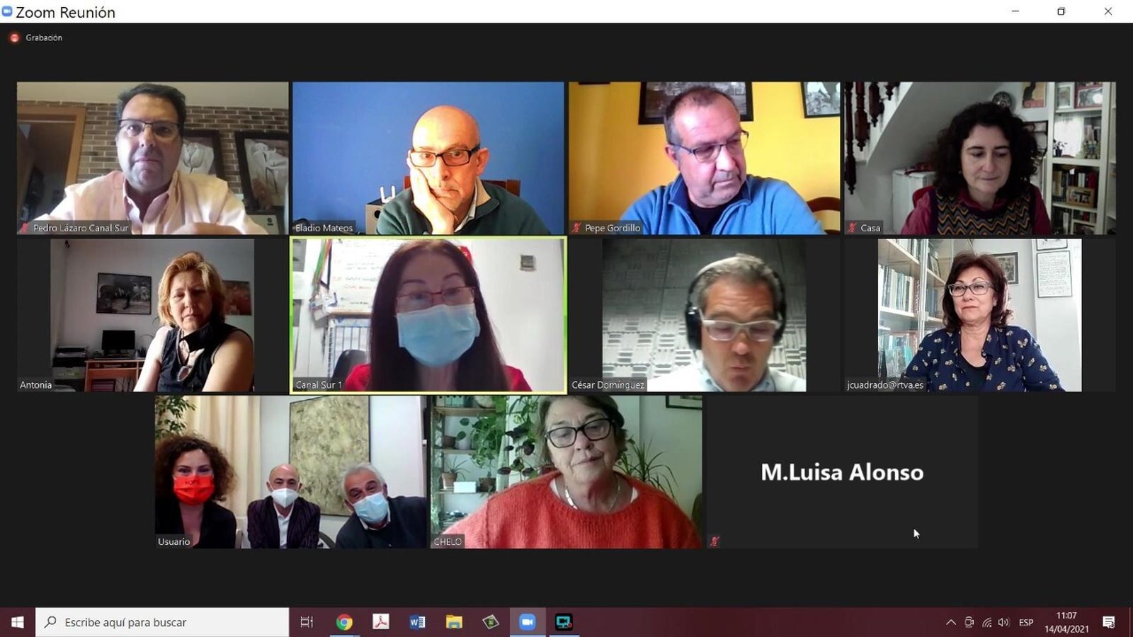 El consejo en su reunión telemática de este miércoles