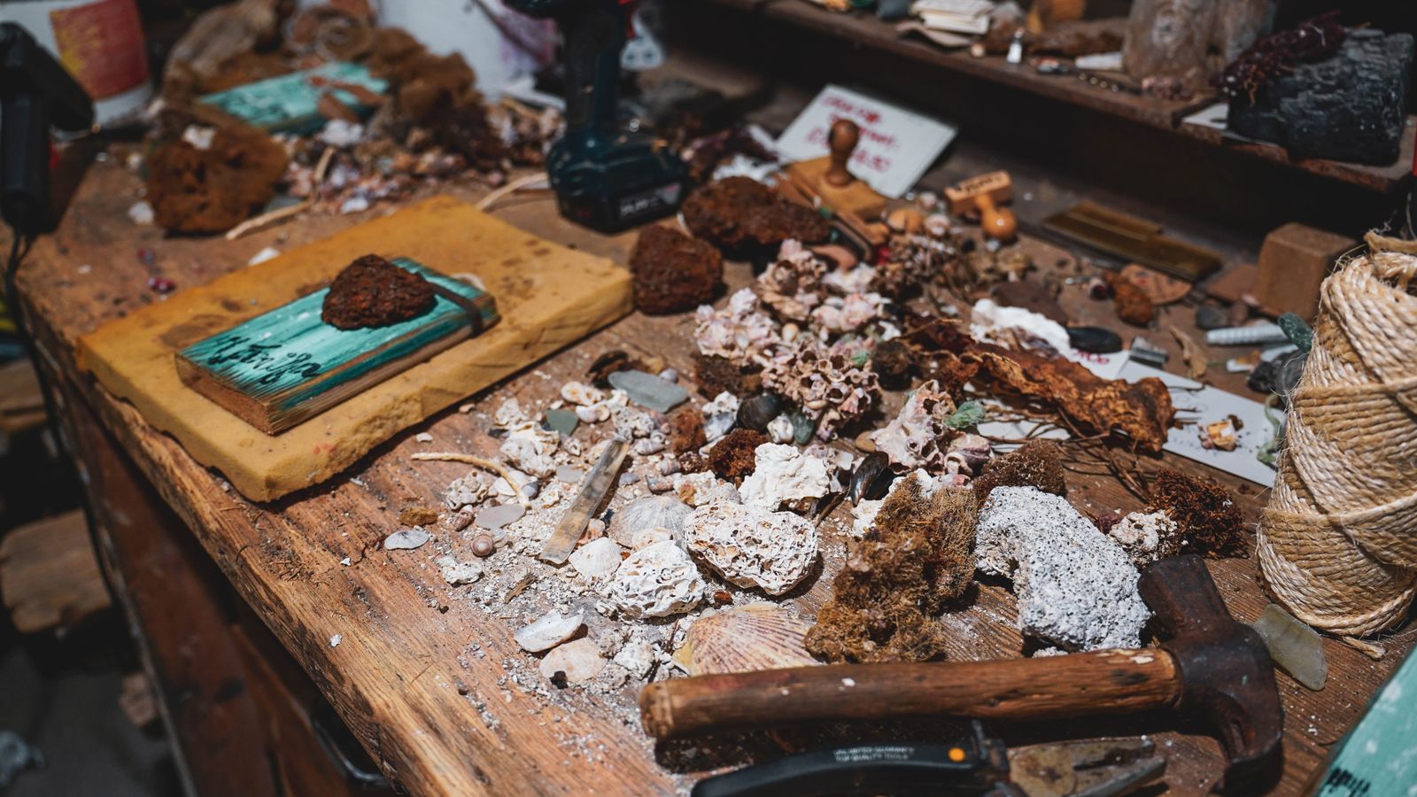 Tarifa Respira una asociación dedicada a la conservación y protección de Tarifa y sus alrededores