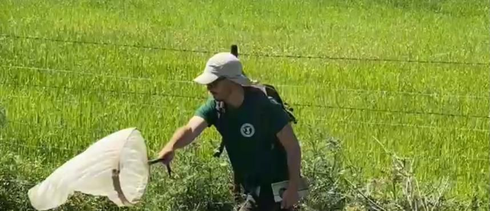El resumen del IV Bioblitz del IECG celebrado en Los Barrios.