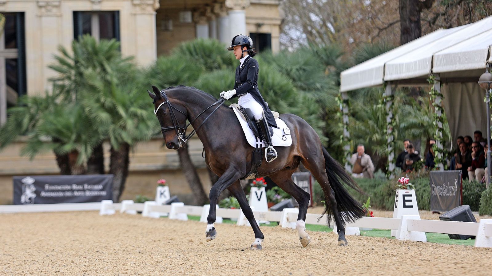 Concurso Internacional de Doma Clásica en La Real Escuela de Jerez