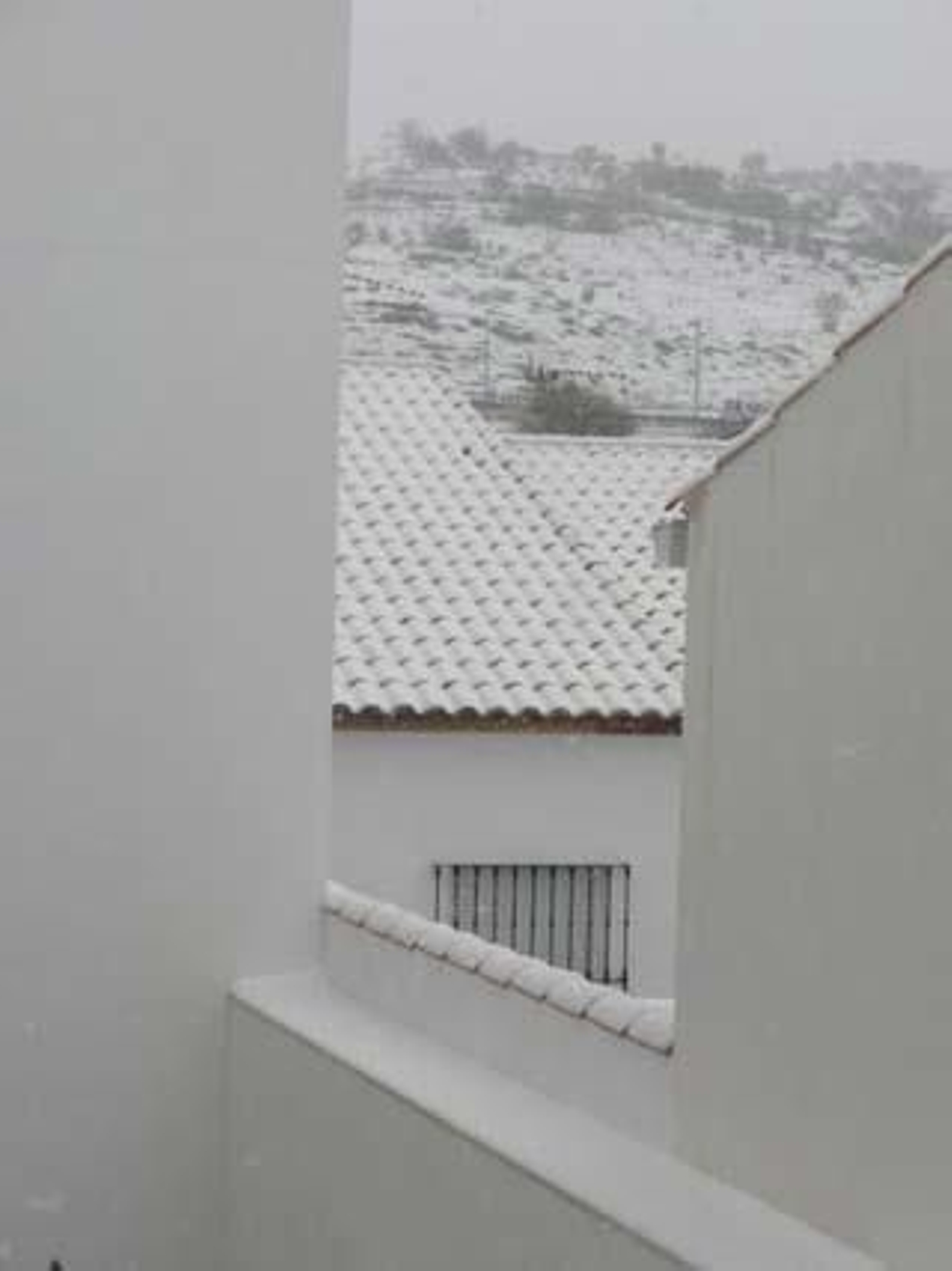 Nieve en Guadalcanal.

Foto: Francisco Javier Ortiz