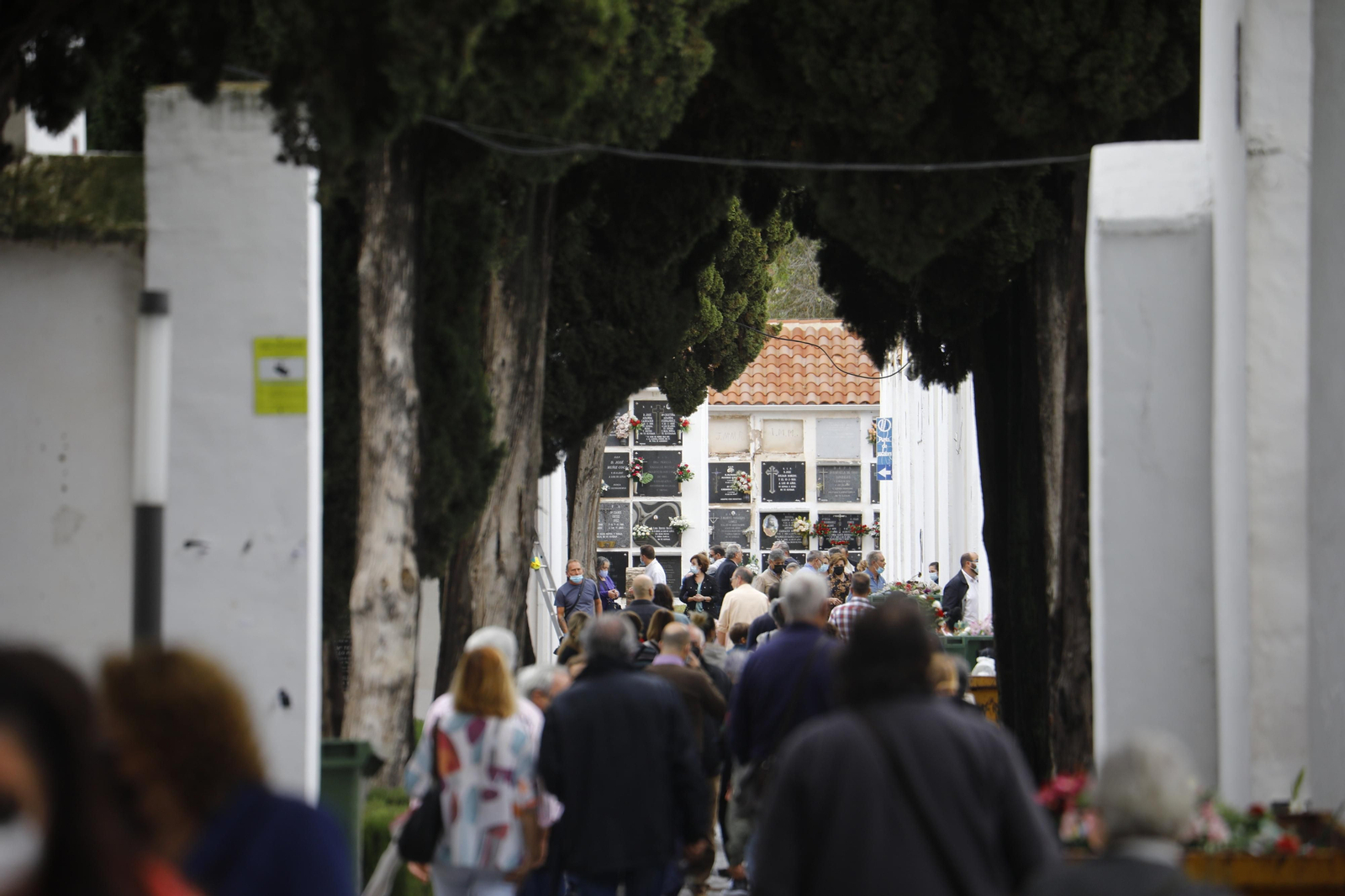 El Día de Todos los Santos de Córdoba, en fotografías