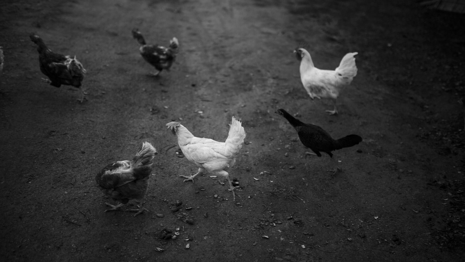 La paz y la tranquilidad de Valdezufre