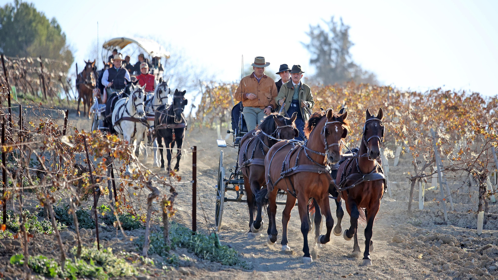 II Ruta Viñas de Jerez