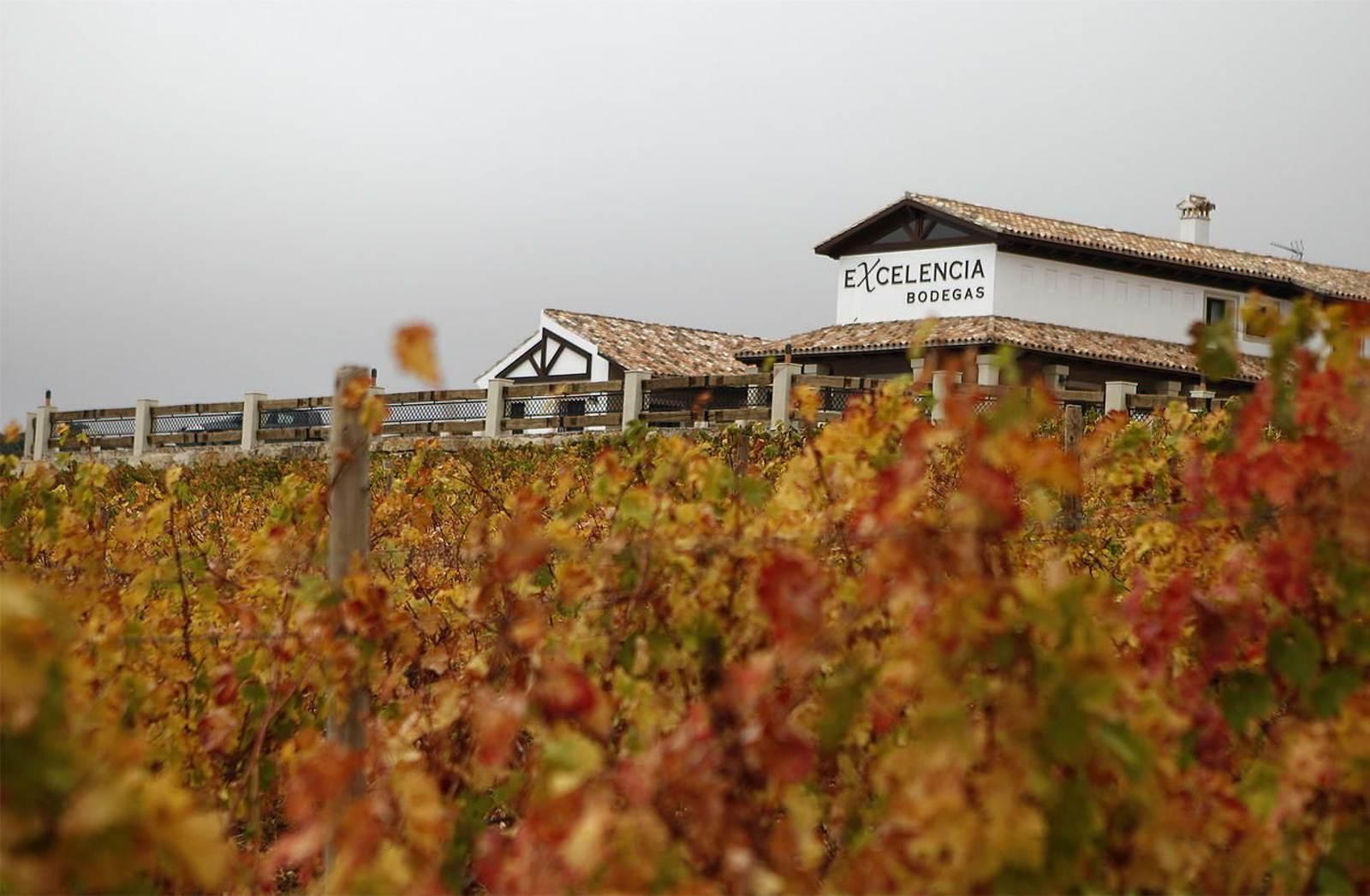 El exterior de Bodegas Excelencia de Ronda.