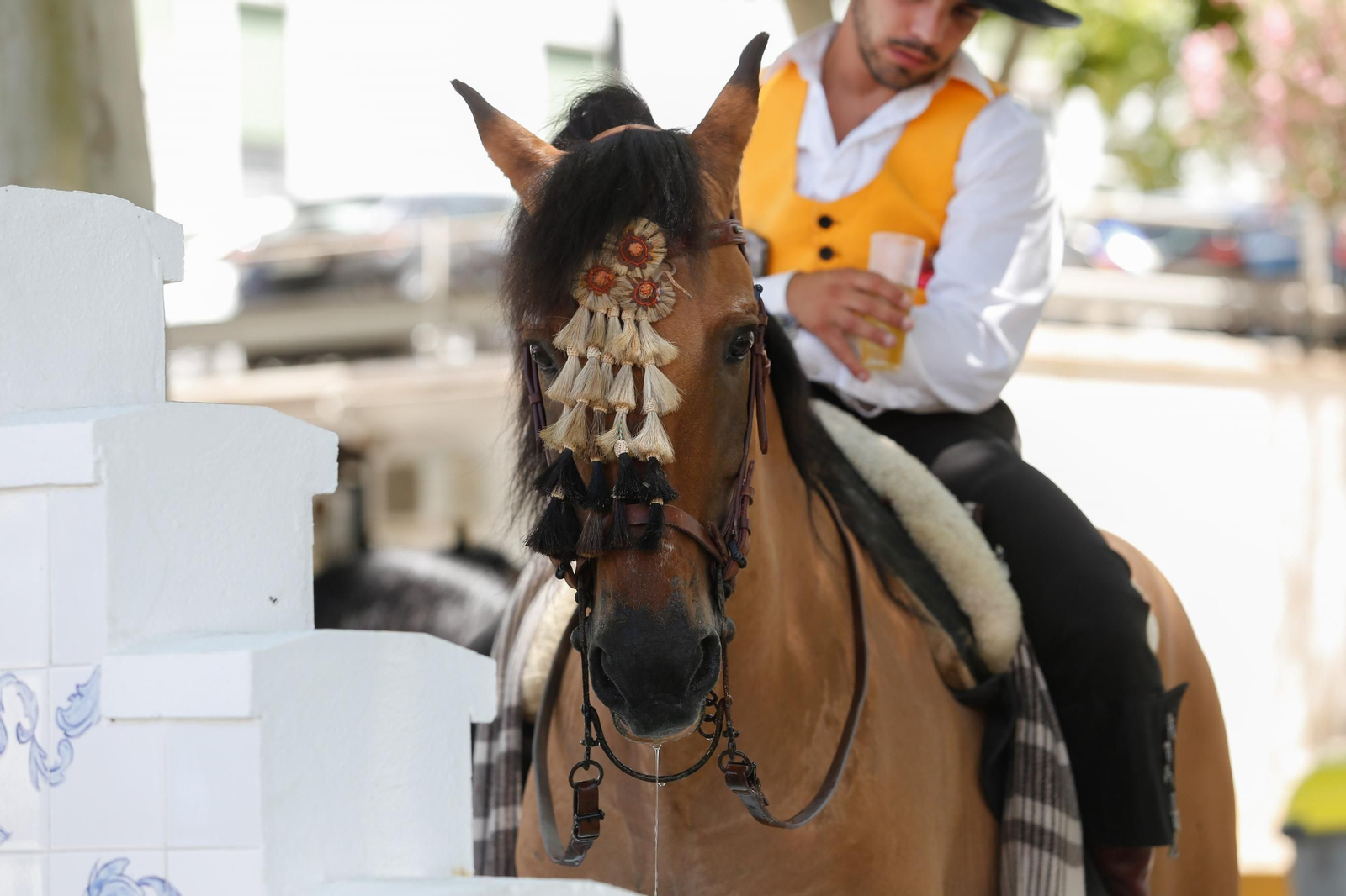 Un caballo en la Feria Real de Algeciras.