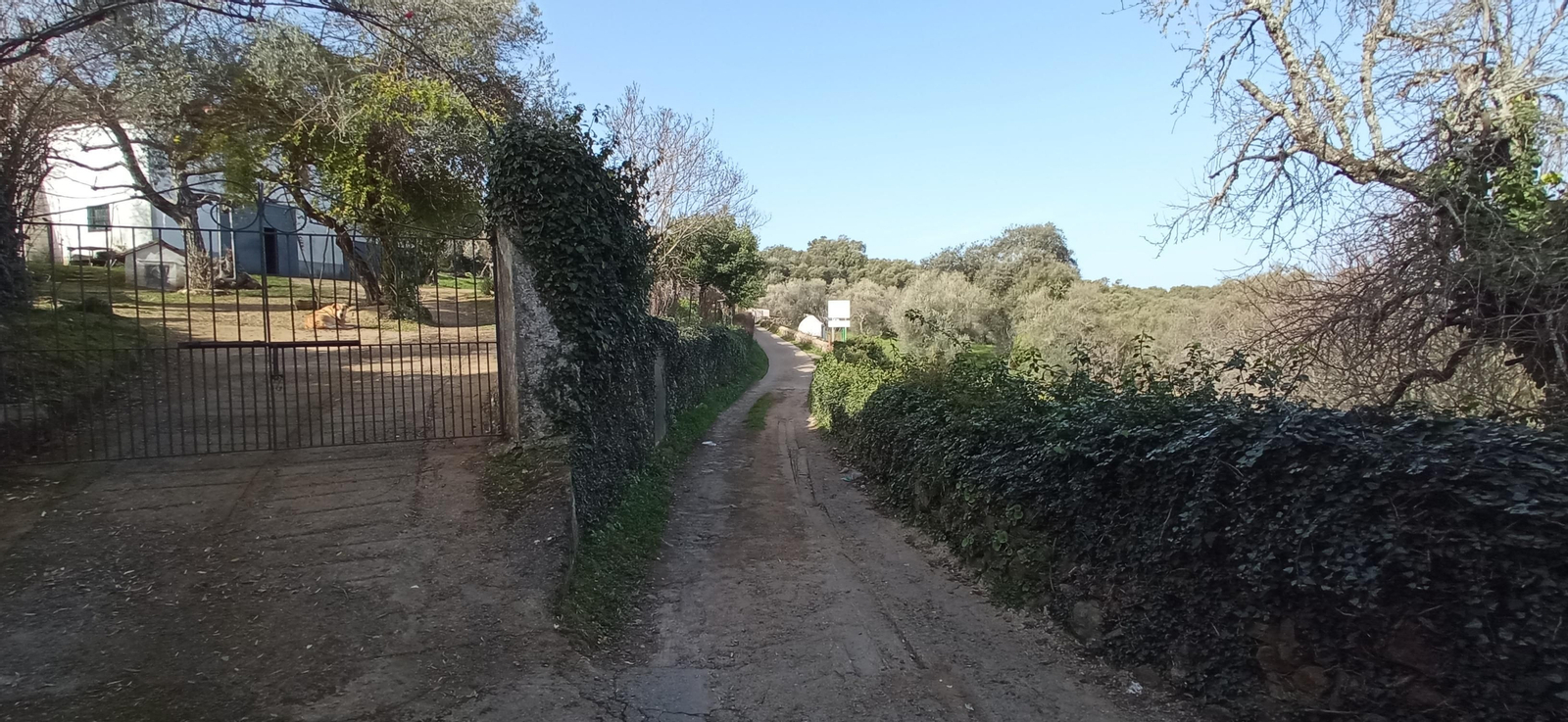 Las imágenes de la ruta de la Dehesa de Valdelama: De Los Marines a Fuenteheridos y vuelta
