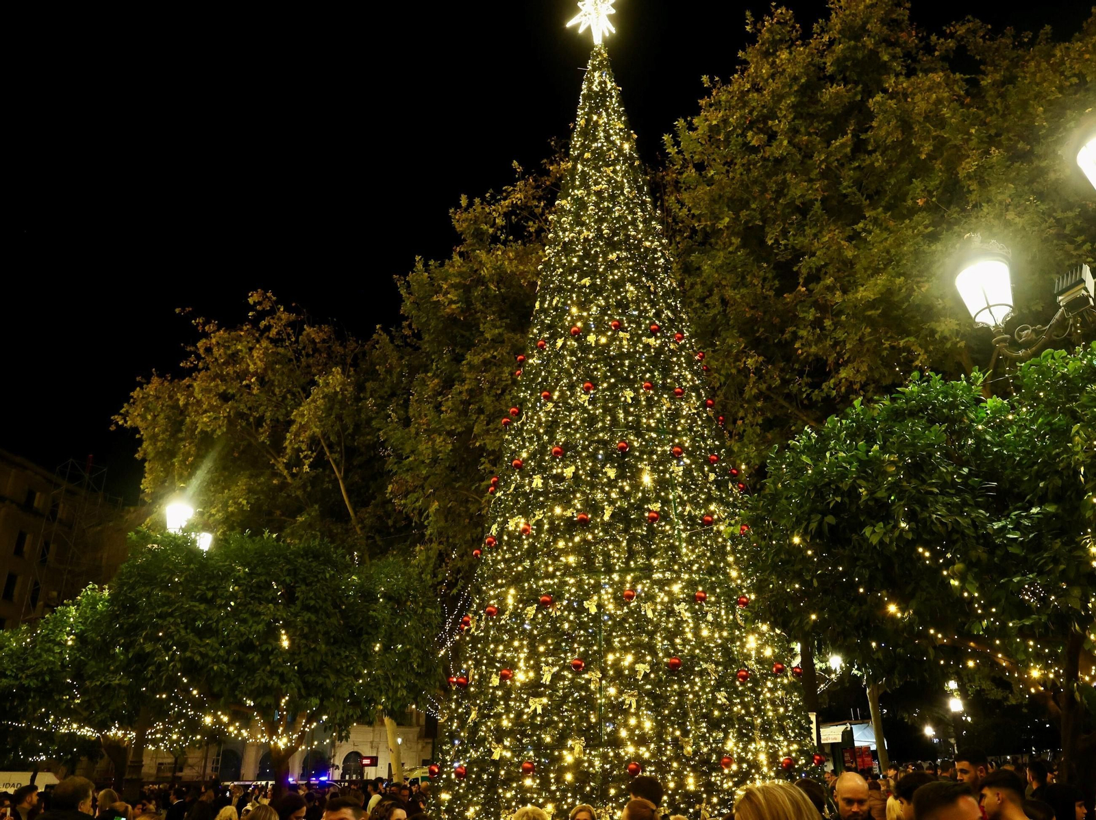 Árbol de Navidad del centro