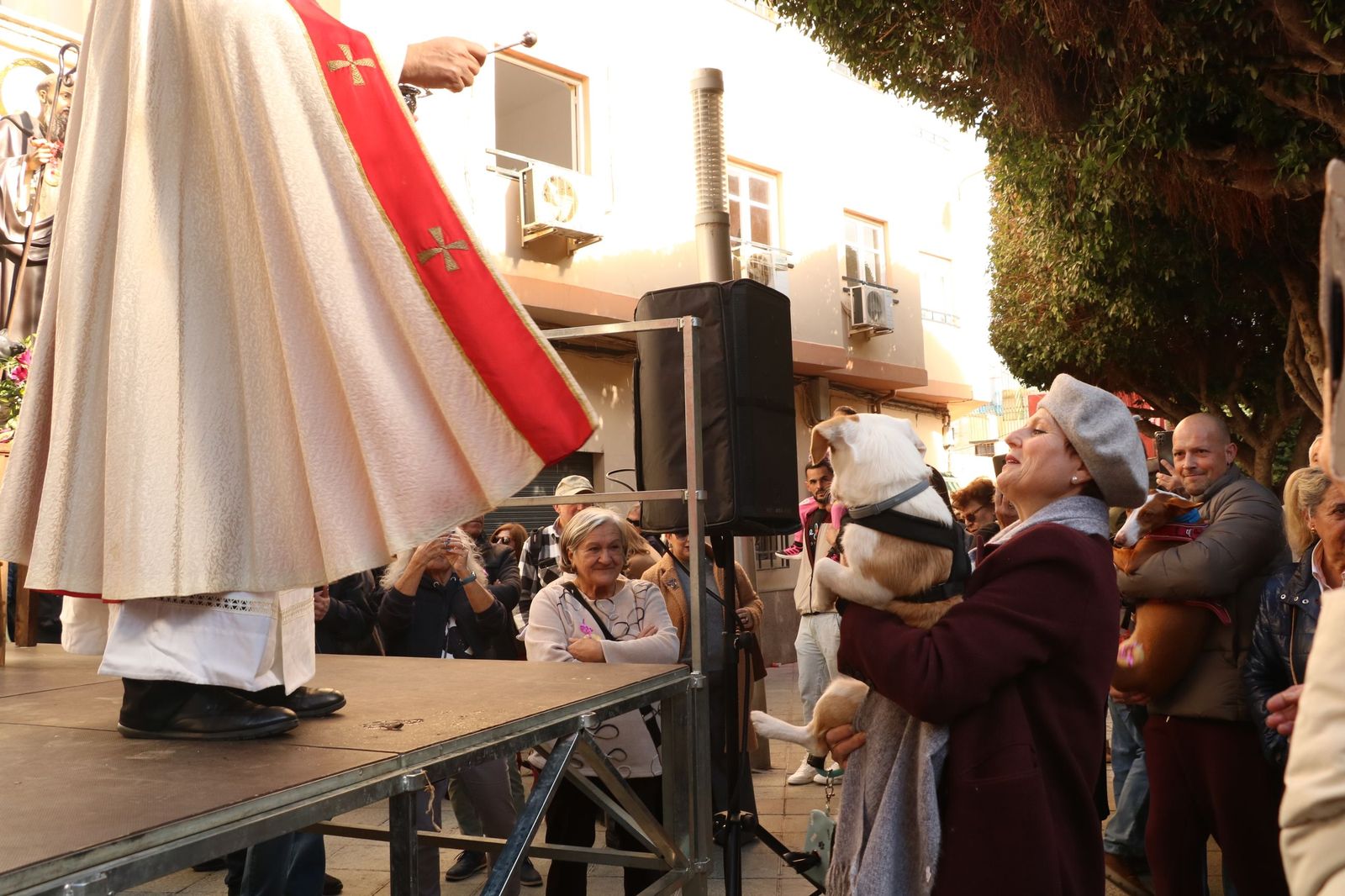 Así ha sido la bendición de las mascotas y la subasta de 'rabicos' en el casco histórico de Almería