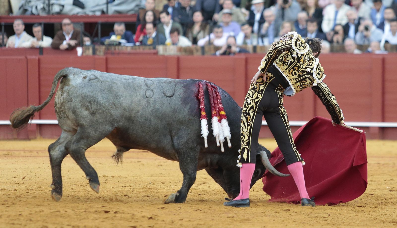 Sexta de abono en la Real Maestranza de Sevilla