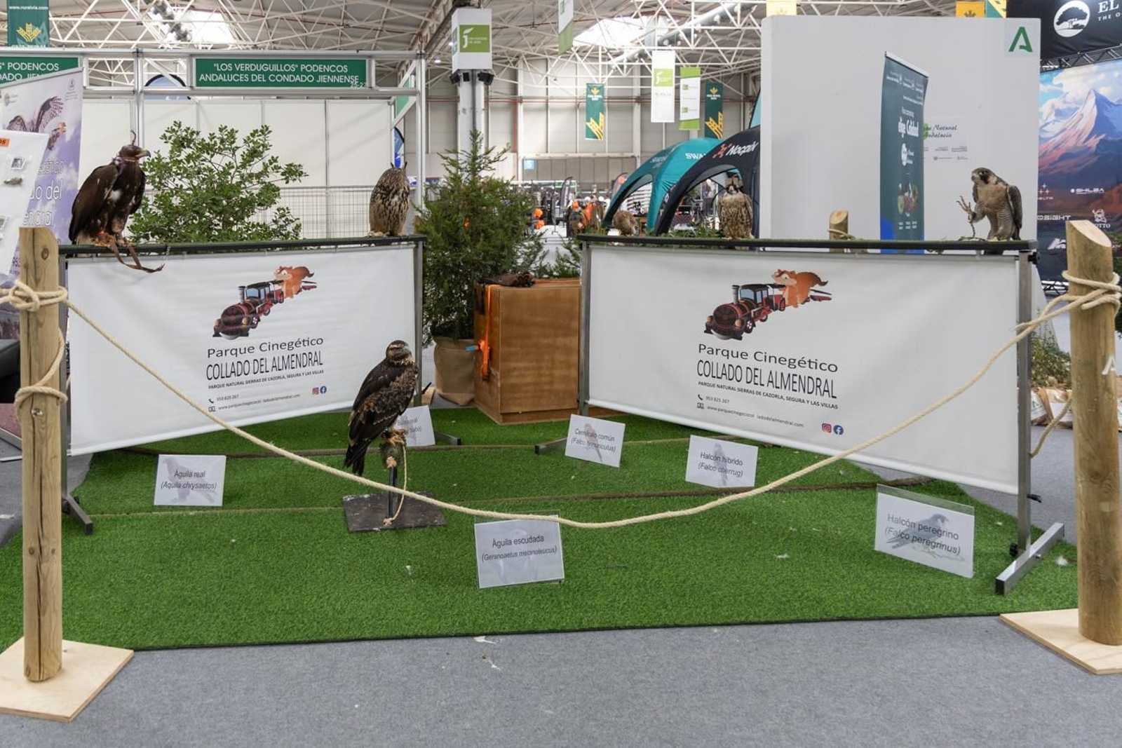 XVII Feria de Caza y Pesca de la Provincia de Jaén, Ibercaza