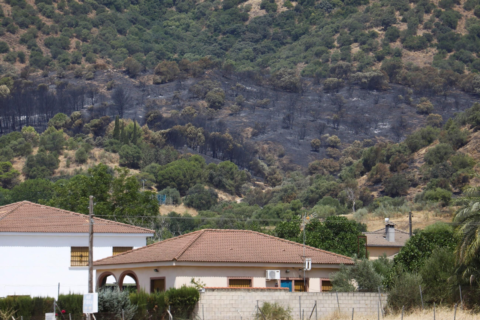 Zona cero del incendio de la Sierra de Córdoba