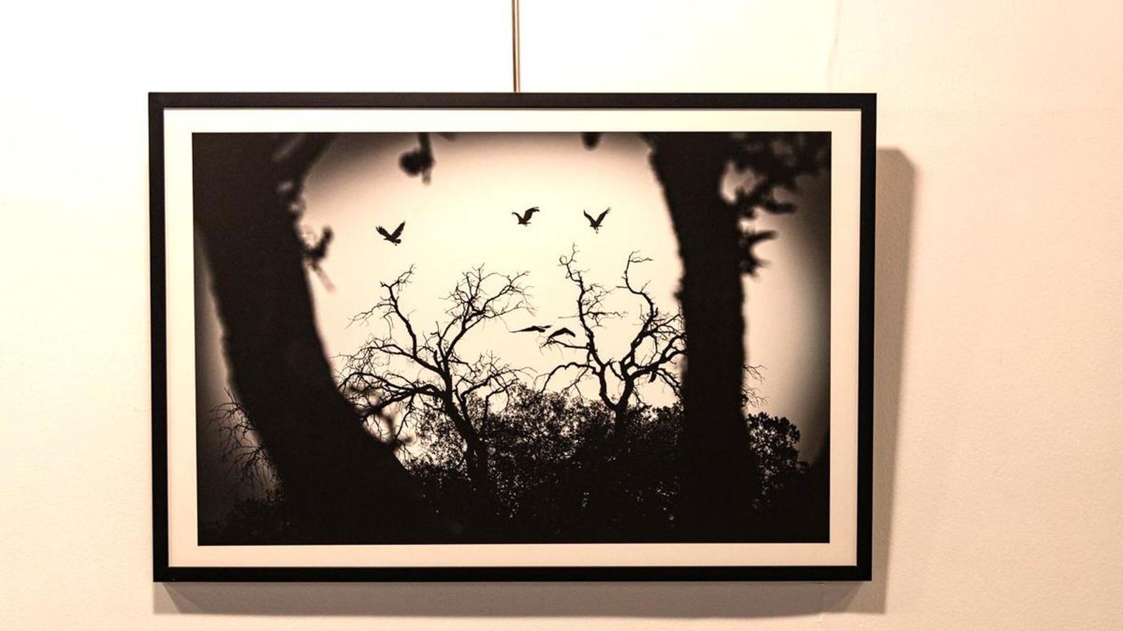 La exposición incluye fotografías tan sobrecogedoras como esta.