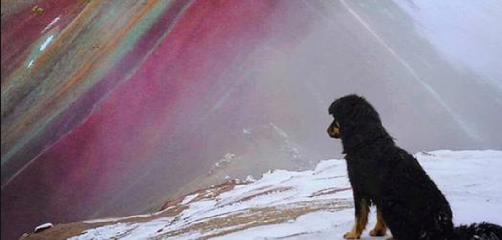 Doc: El perro que es guía turístico en esta popular montaña de Perú
