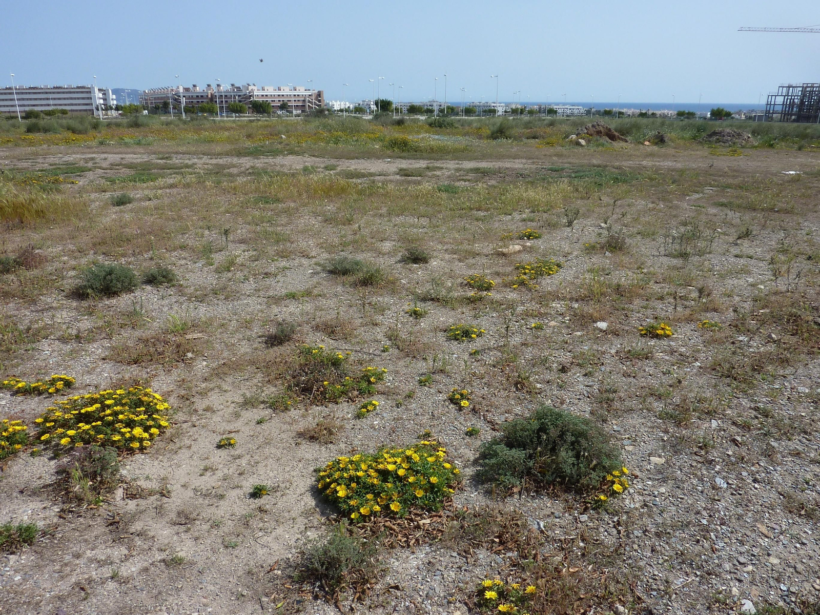 Los terrenos de Joisan pendientes de desarrollo se encuentran en las proximidades del Hospital de El Toyo