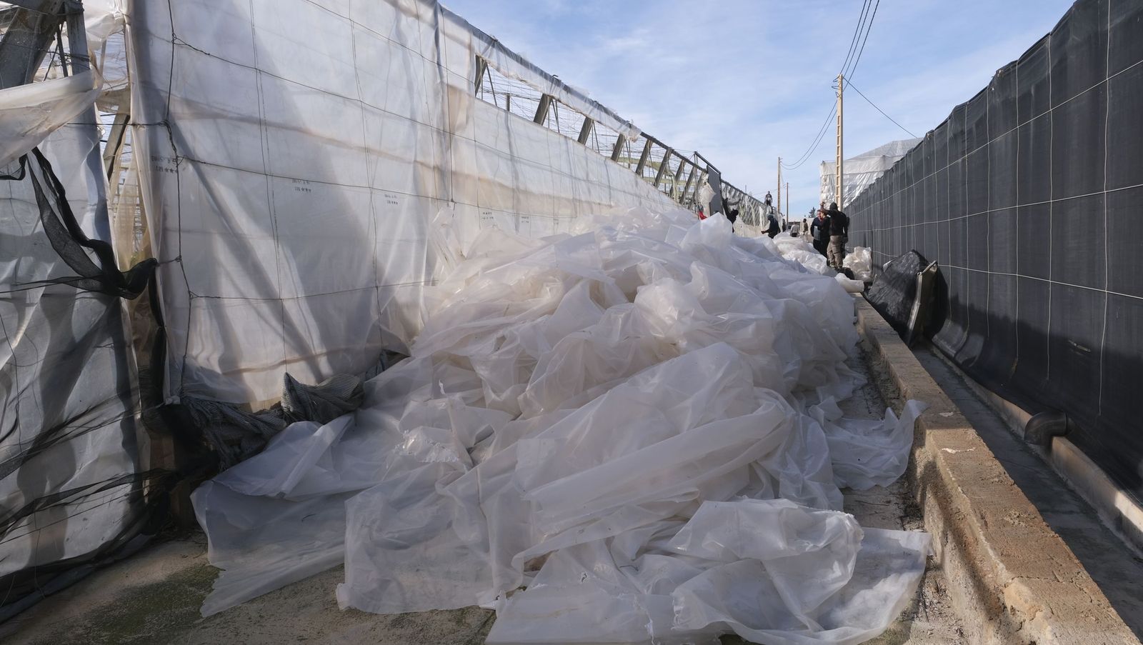 Los efectos del temporal de viento en los invernaderos, en imágenes