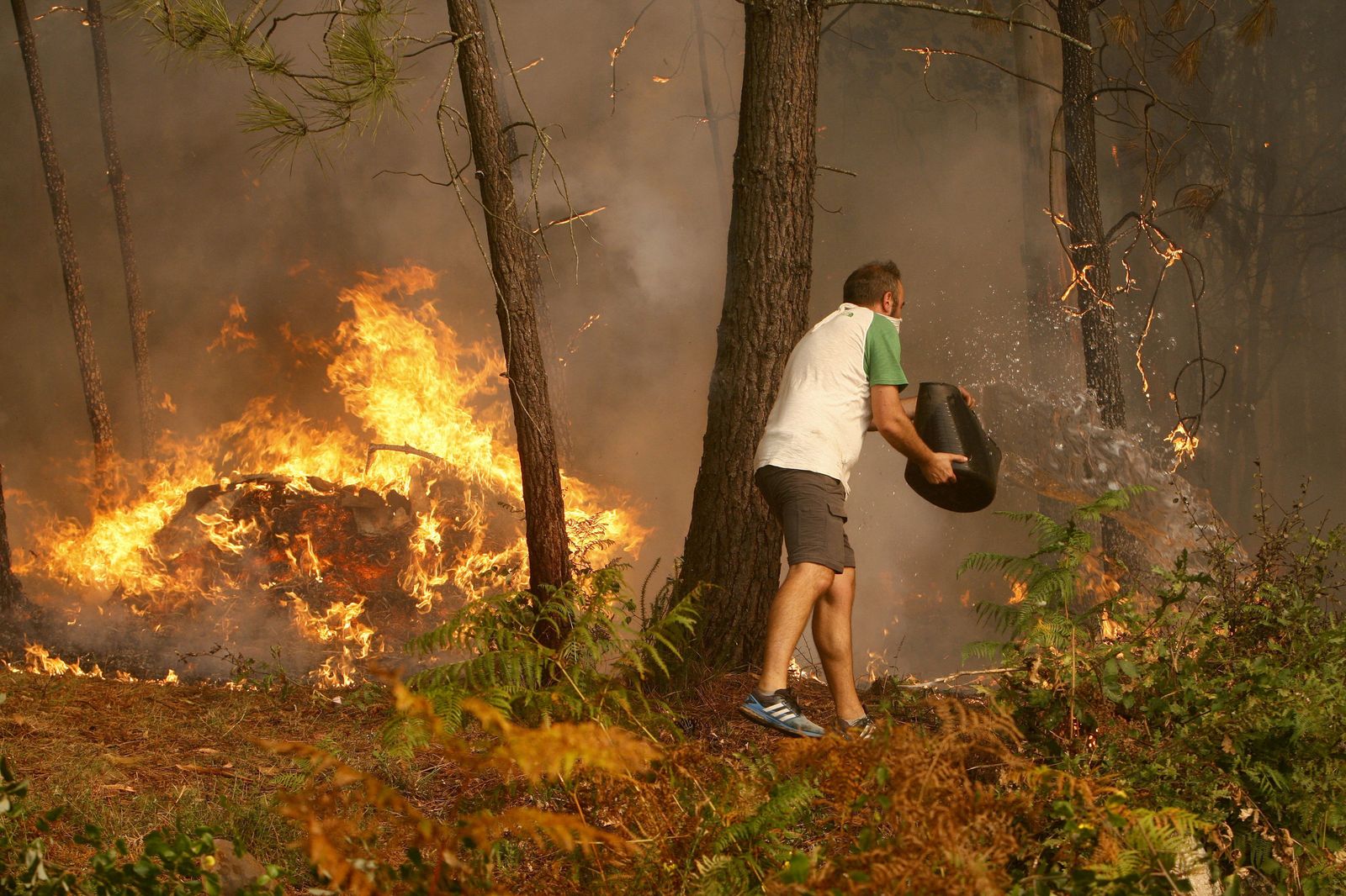 Los incendios declarados en Galicia, en imágenes