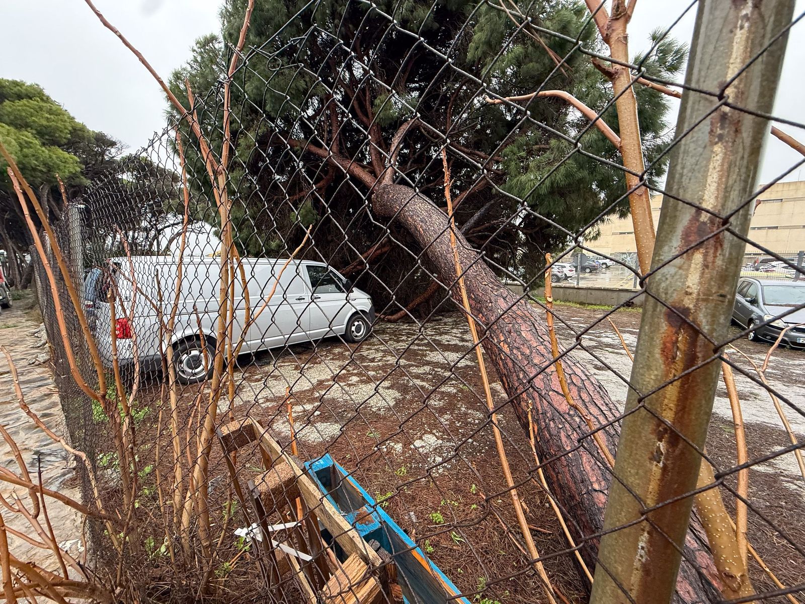 Fotos: Así amaneció el Campo de Gibraltar tras el paso de la borrasca Leonardo