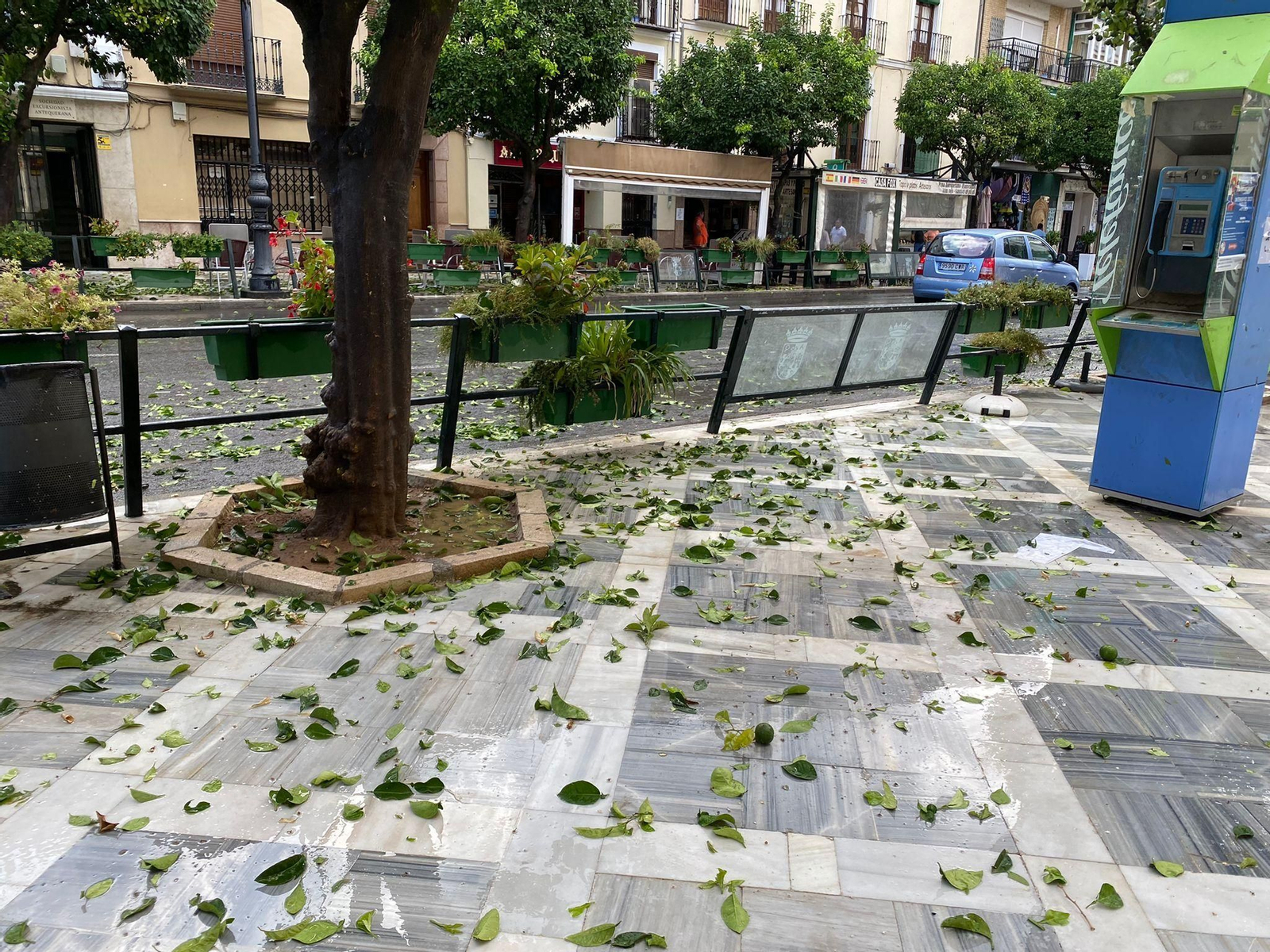 El granizo descarga en Antequera, en fotos