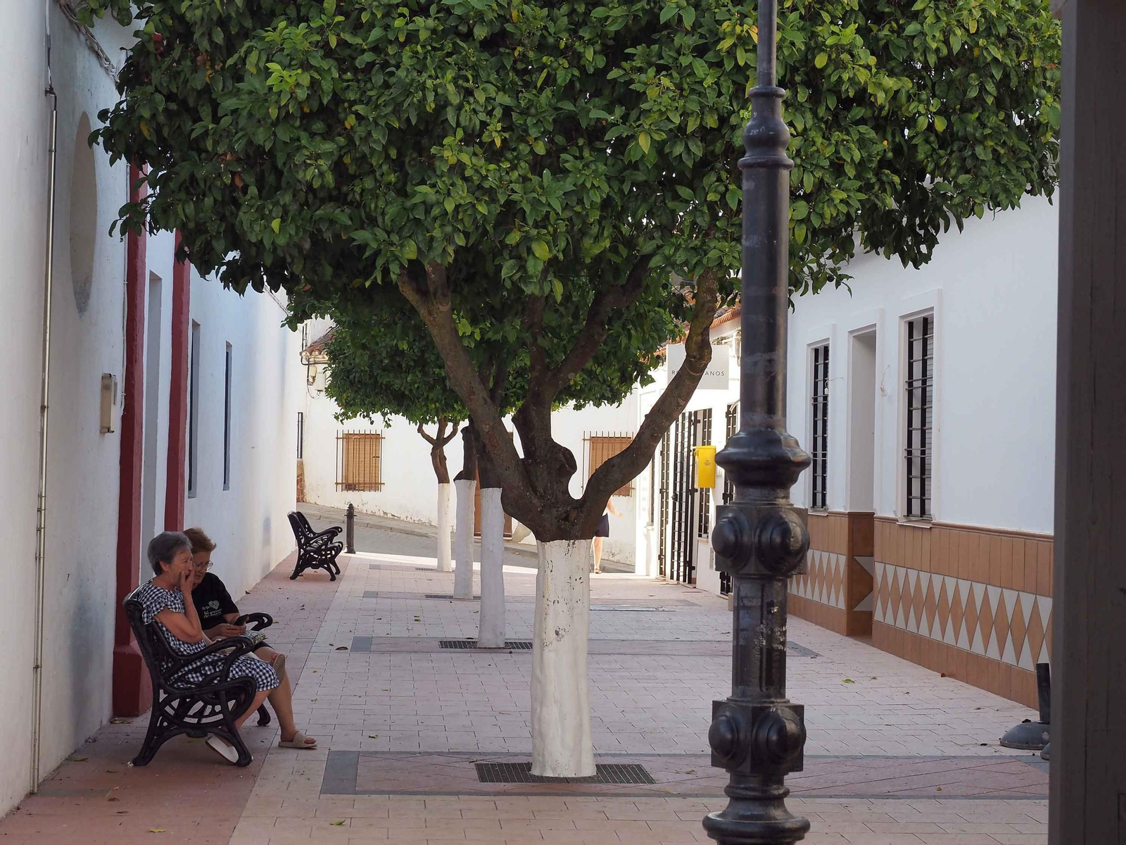 Vecinas de El Granado se protegen del sol a la sombra de unos naranjos en una calle céntrica del municipio Vecinas de El Granado se protegen del sol a la sombra de unos naranjos en una calle céntrica del municipio