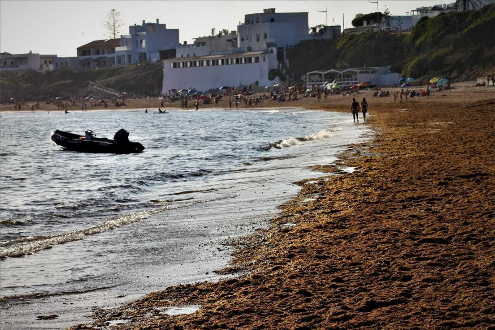 La playa de La Laja, llena de algas este martes.