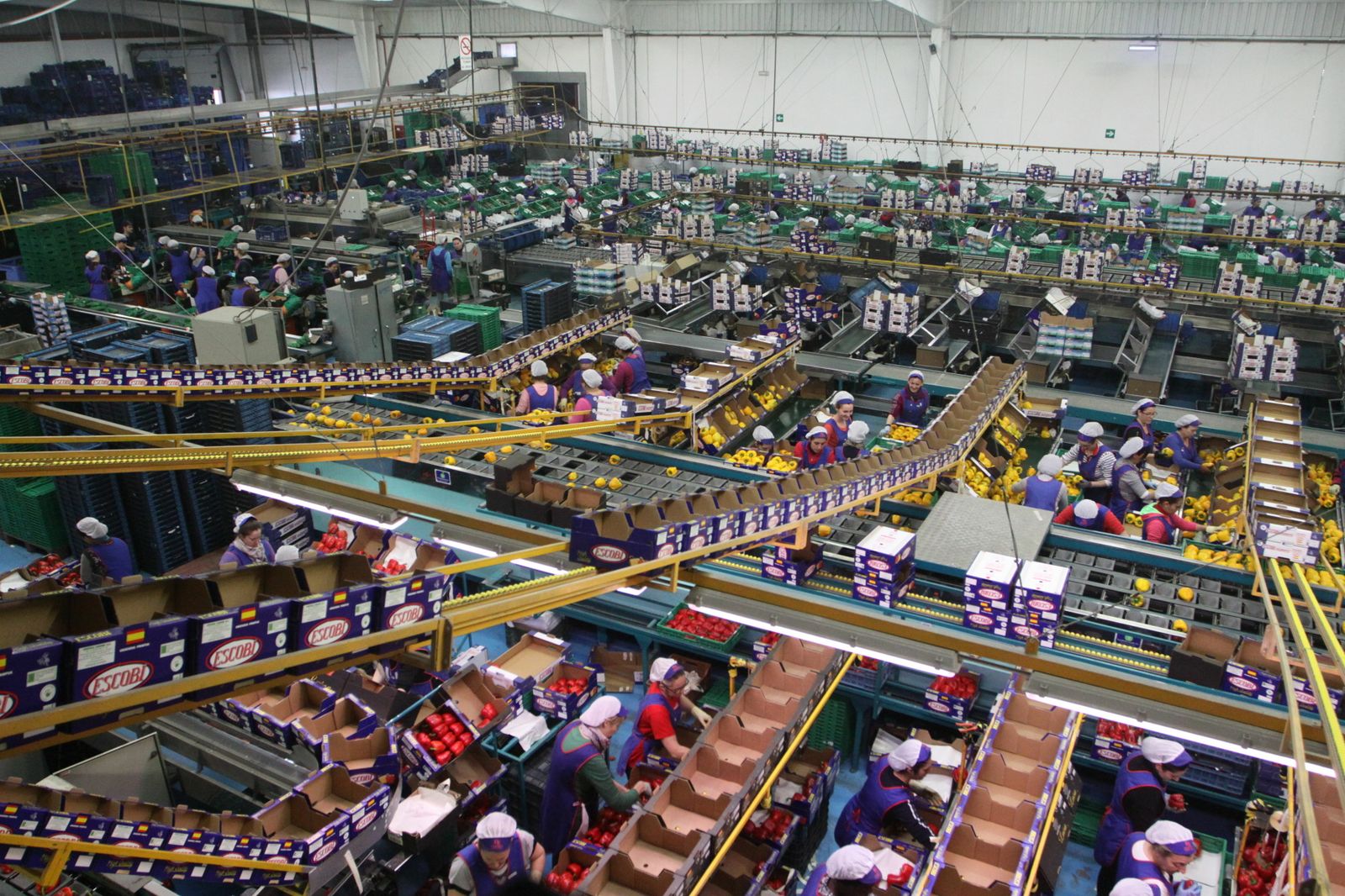 Producción en una empresa familiar.