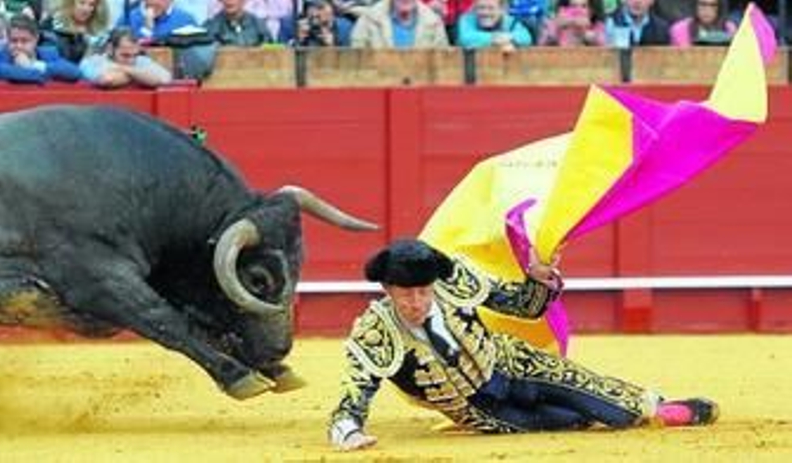 Manuel Escribano, quien se la jugó toda la tarde, estuvo a punto de ser corneado por el tercero en una larga cambiada de rodillas frente a toriles.