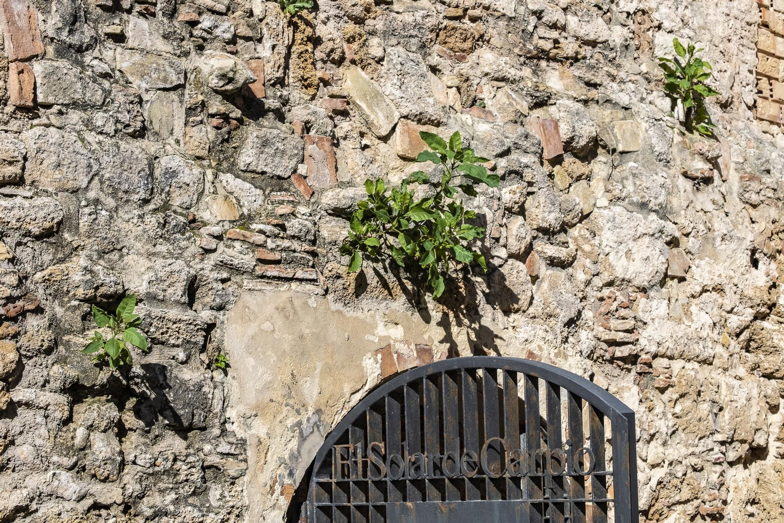 Arco de los Blanco y muralla medieval