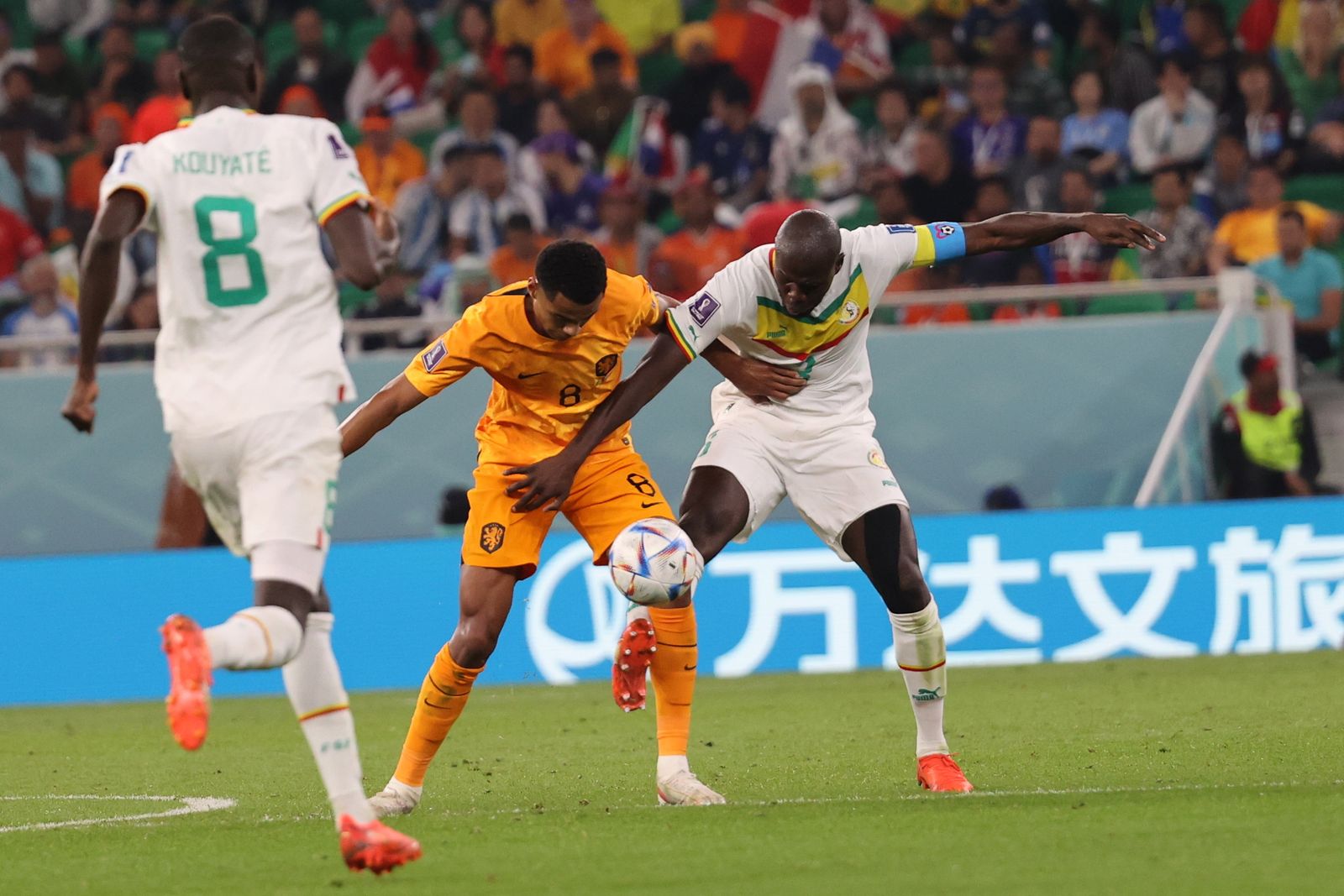 Las imágenes del Senegal - Países Bajos