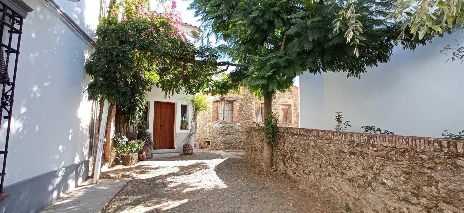 Las imágenes de la Ruta del charco malo