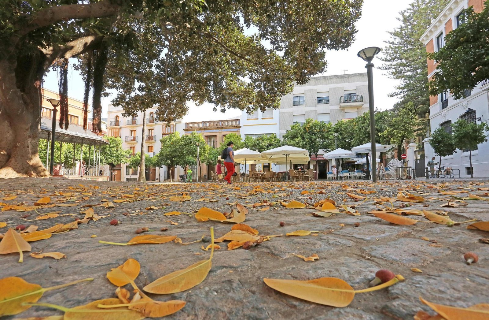 Concierto en la alameda del Banco