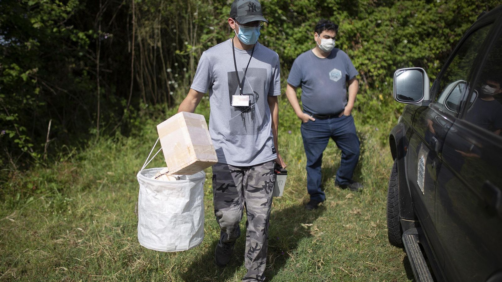 Los mosquitos capturados se transportan refrigerados, para que el virus si está presente no se pierda, a los laboratorios de la Estación Biológica de Doñana, situados en la la Isla de la Cartuja.