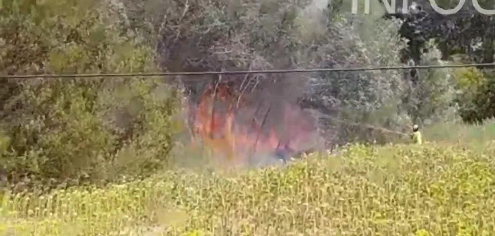 Incendio forestal en el paraje La Habana de Almonte.