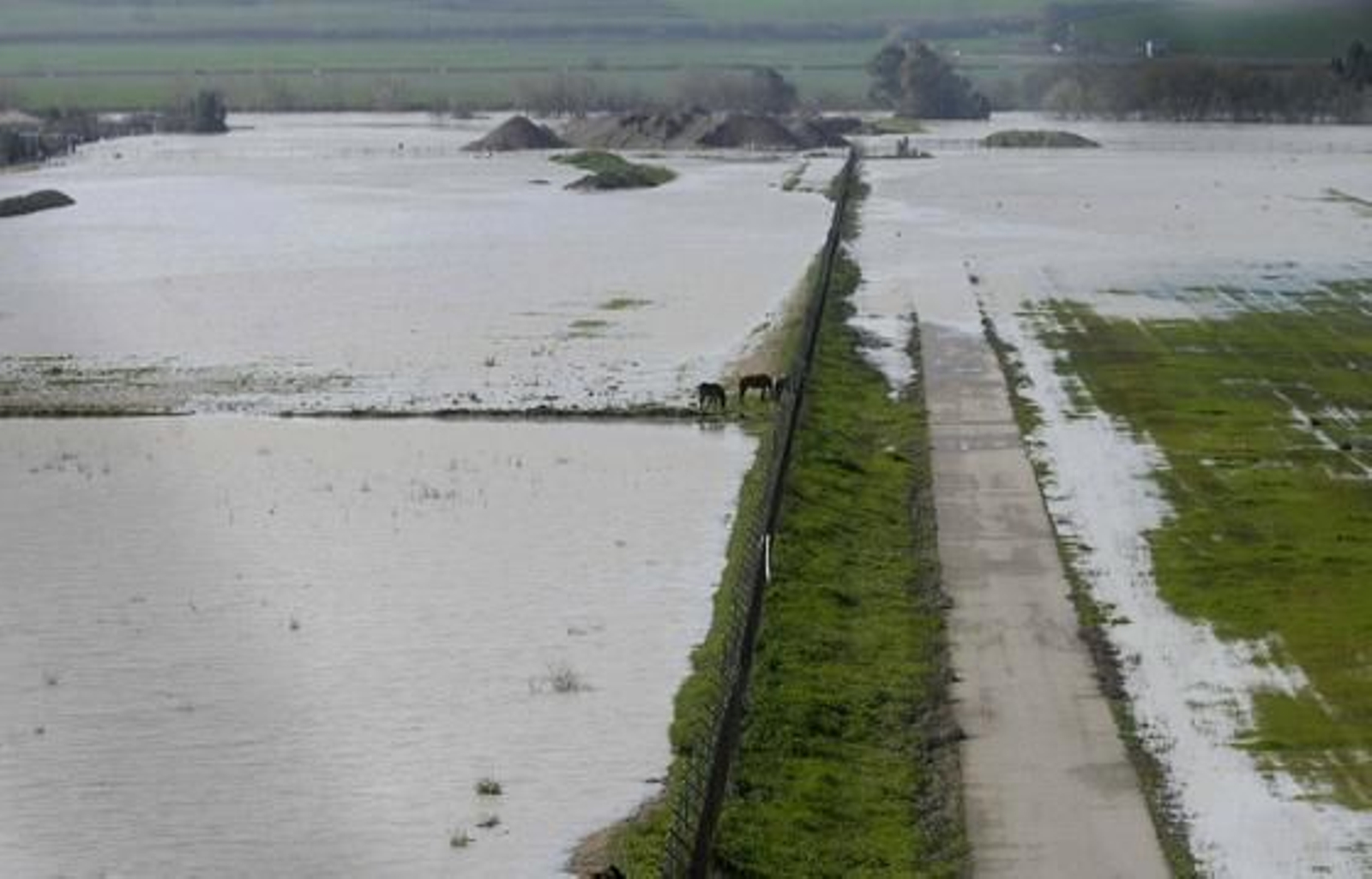 Vista aérea del cauce del río Guadalquivir desbordado a su paso por la zona del aeropuerto, la urbanización Altea y Córdoba. / José Martínez