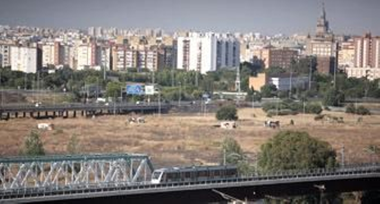 Un tren de la Línea 1 del Metro se dirige a la estación de San Juan Bajo con la ciudad al fondo, en una imagen reciente. / Juan Carlos Muñoz