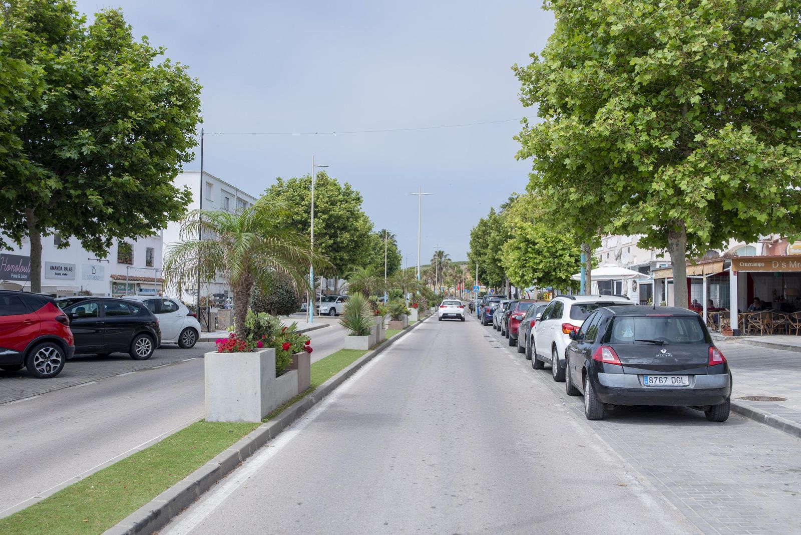 Fotos de una mañana de primavera en el Valle del Guadiaro