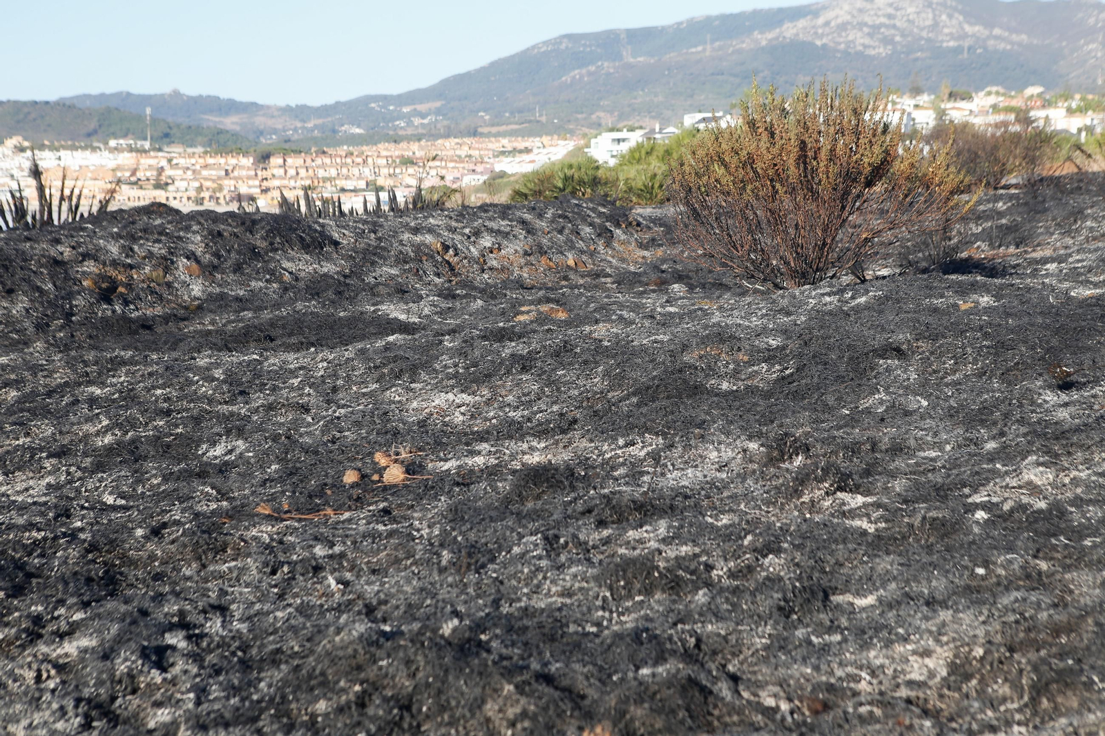 Daños en el Parque Centenario de Algeciras tras el incendio nocturno, en imágenes