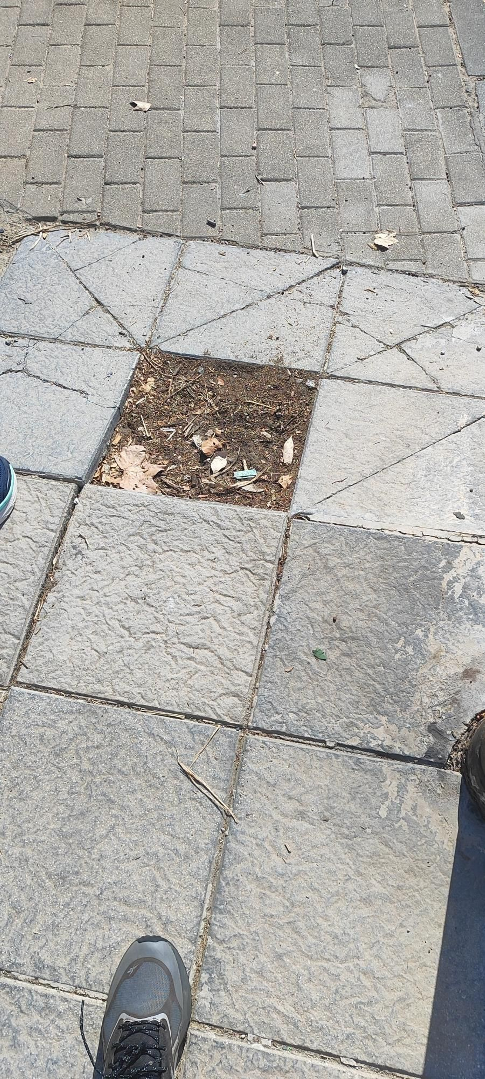 Fotos de aceras rotas en distintos puntos de Algeciras