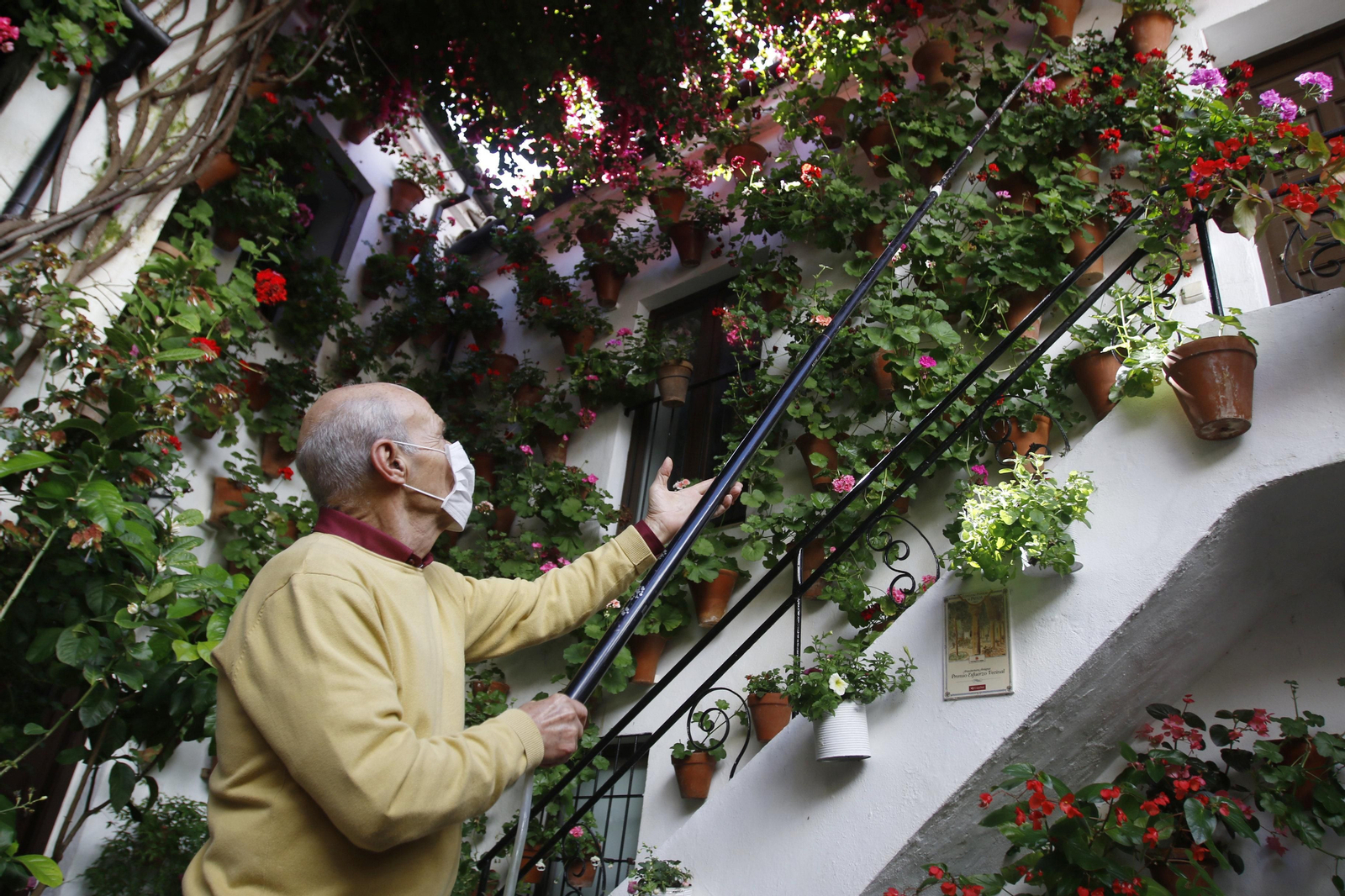 Las fotos de los Patios de Córdoba en este atípico mes de mayo