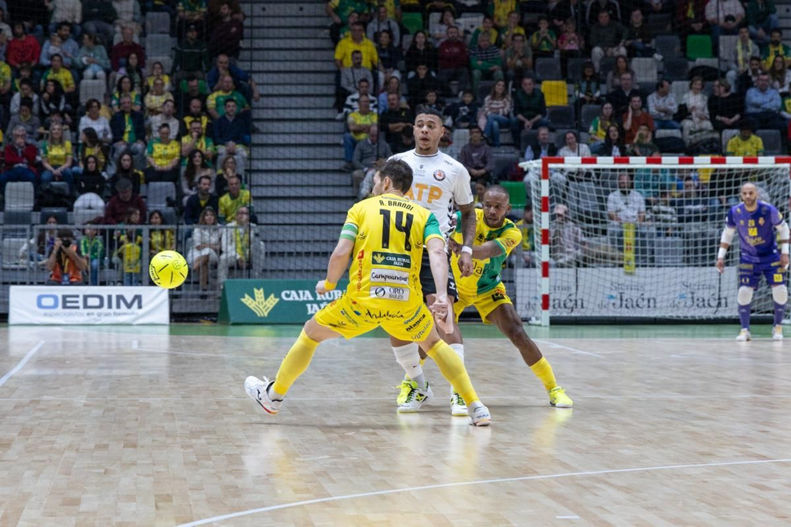 Jaén Paraíso Interior FS contra  ATP Ilum. Ribera Navarra FS