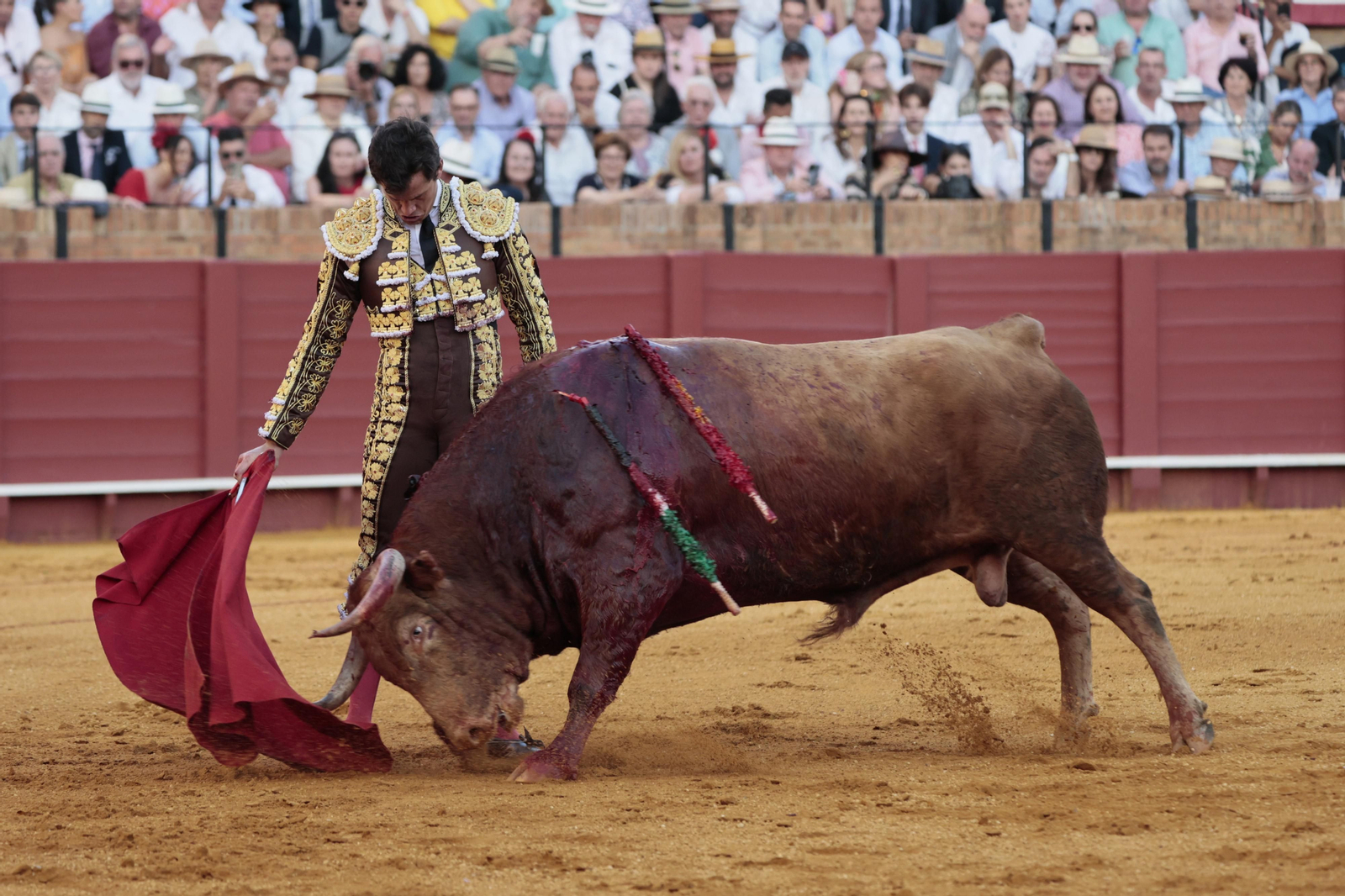 Las imágenes del festejo