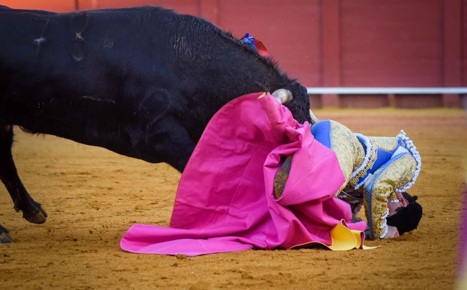 Final de la sexta edición del Circuito de Novilladas de Andalucía
