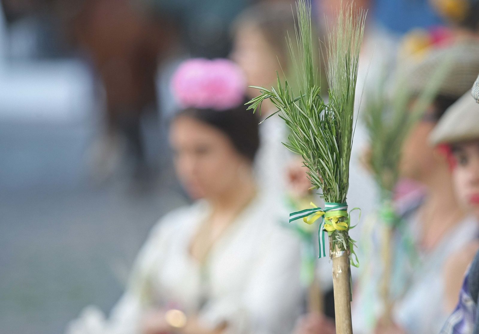 La Romería de Los Barrios, en imágenes