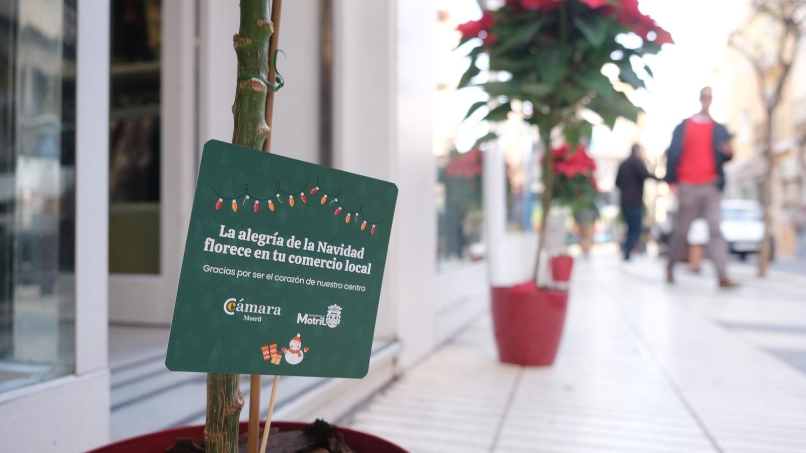 Algunos de los pascueros repartidos en las tiendas de Motril