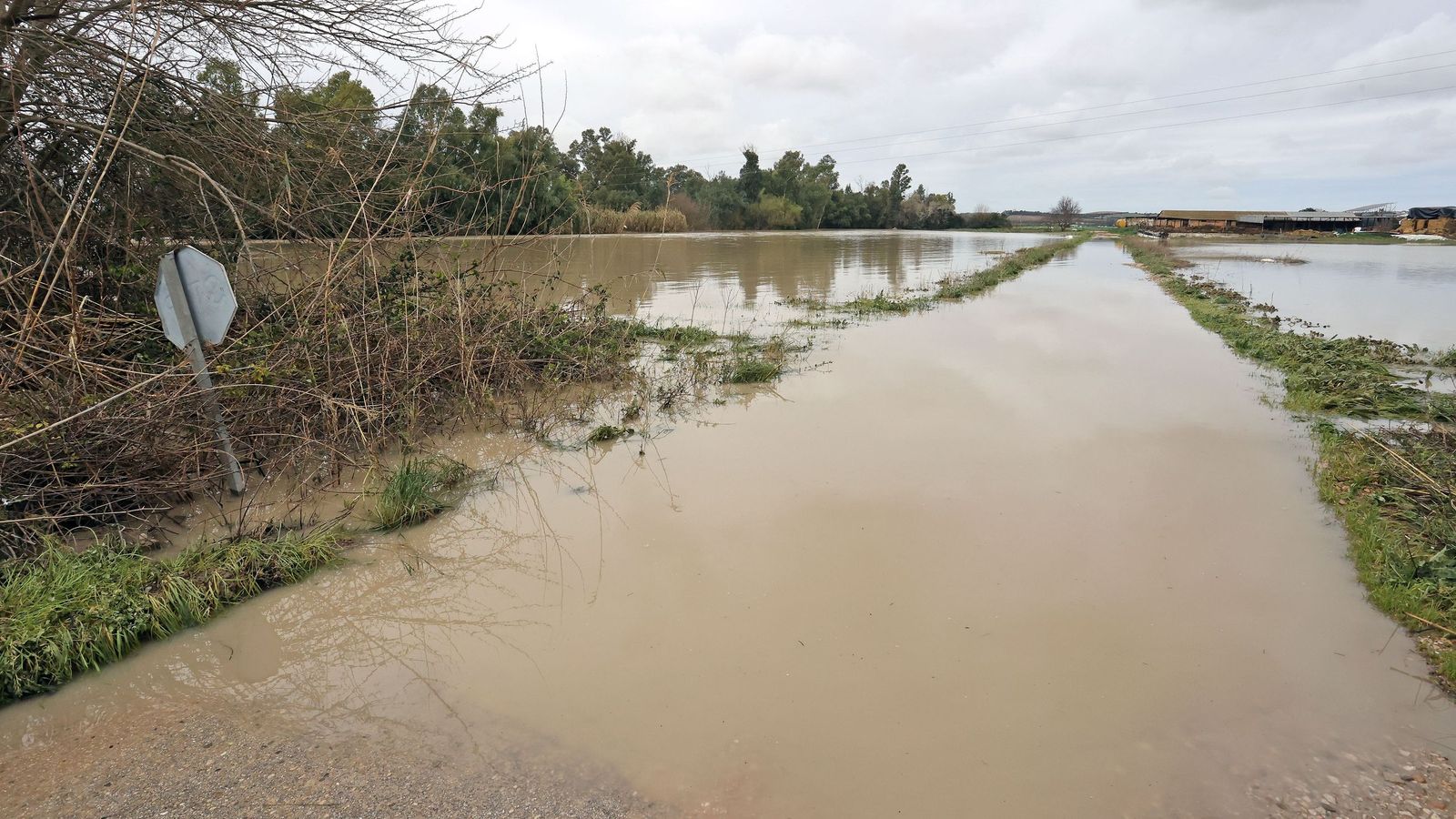 El Guadalete comienza a bajar su nivel poco a poco por la zona rural de Jerez