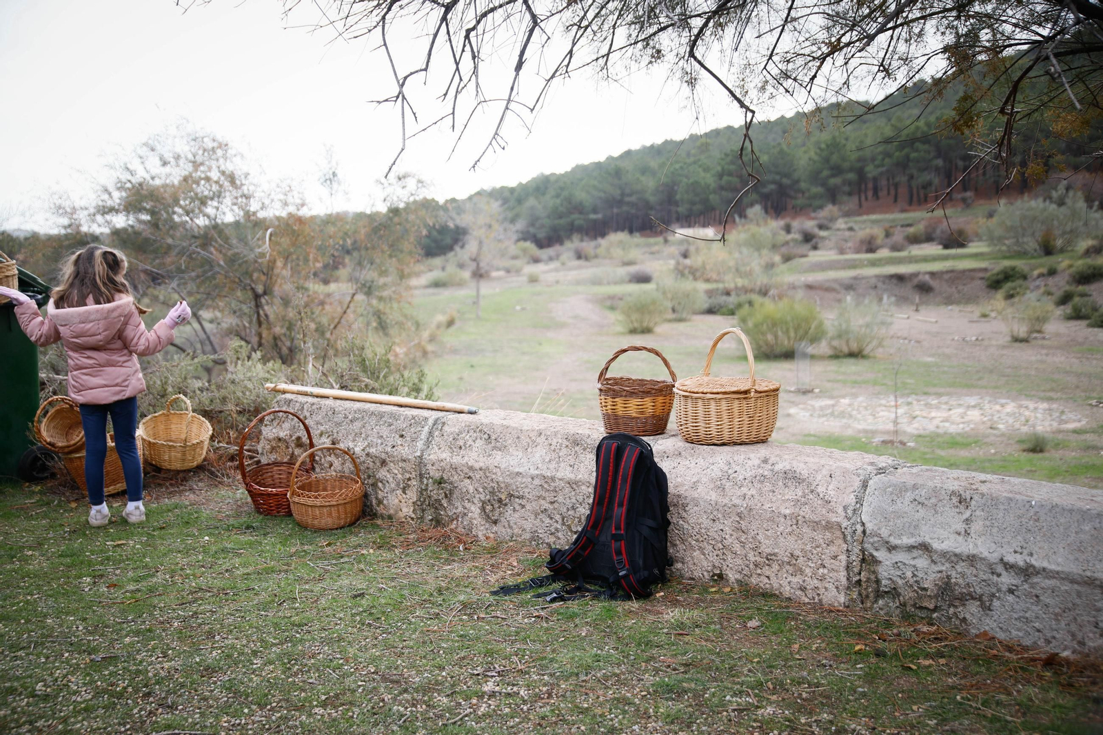 La ruta recolectora de setas en Abla por las XIX Jornadas Micológicas, en imágenes